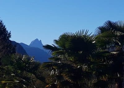 Vue sur les montagnes